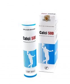 calci500
