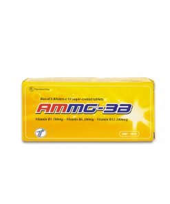 AMMG 3B