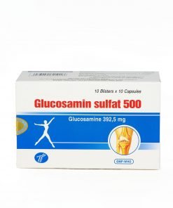 Glucosamin 500
