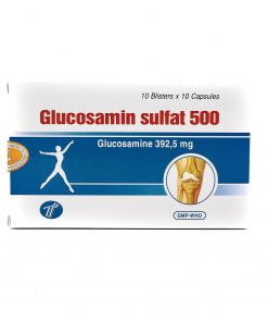 Glucosamin 500
