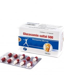 Glucosamin 500