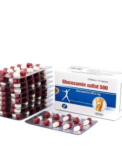 Glucosamin 500