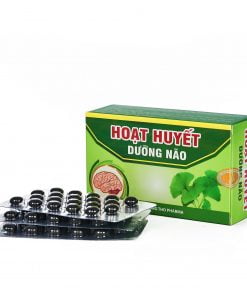 Hoạt huyết dưỡng não