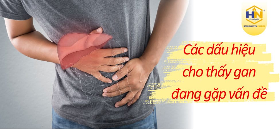 Cuối năm tiệc tùng nhiều, đừng quên bảo vệ gan!
