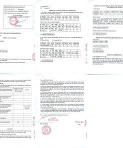 demovat-extra-bản-công-bố