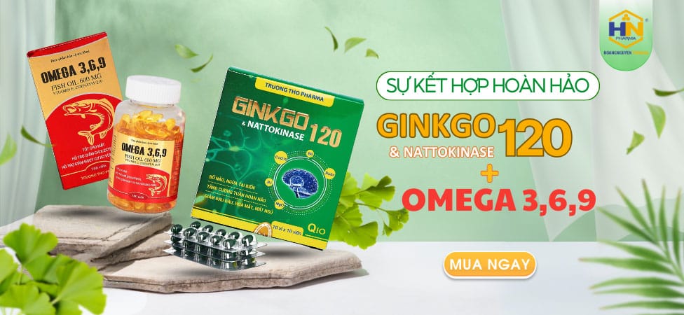 Bổ não